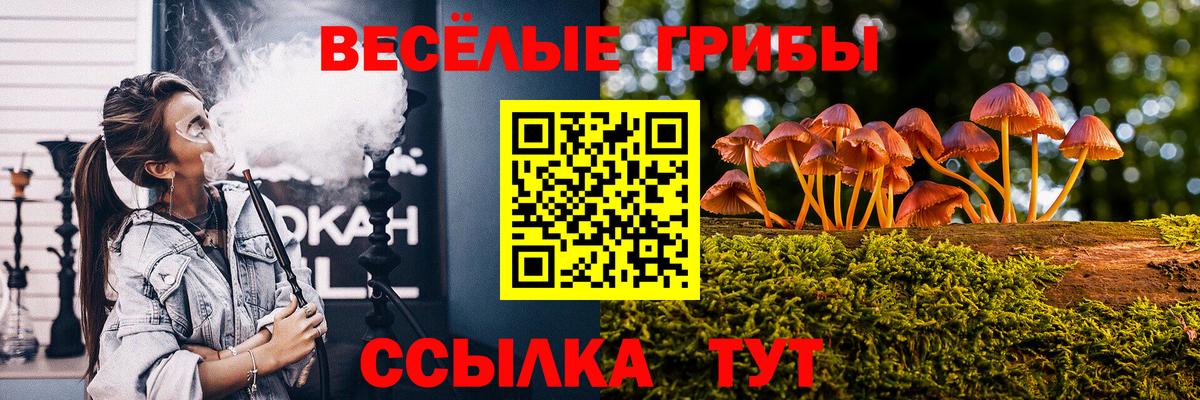 Псилоцибиновые грибы Cubensis  Вход с VPN  купить наркотики сайты  Галлюциногенные грибы мухоморы  Прокопьевск 